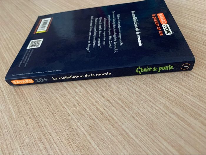 Livre chair de poule rl stine - photo numéro 6