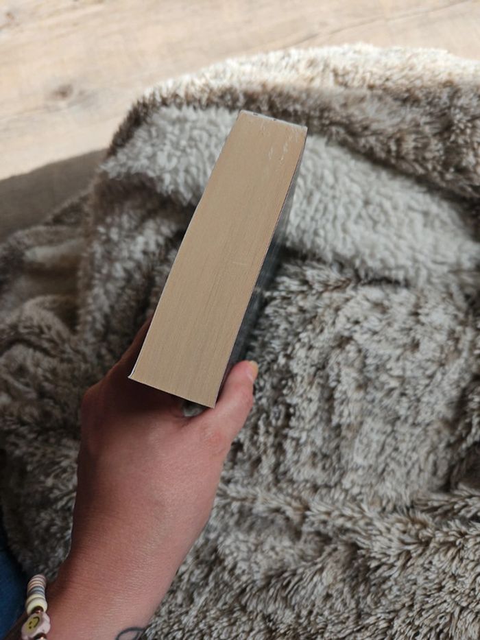 Livre - photo numéro 5