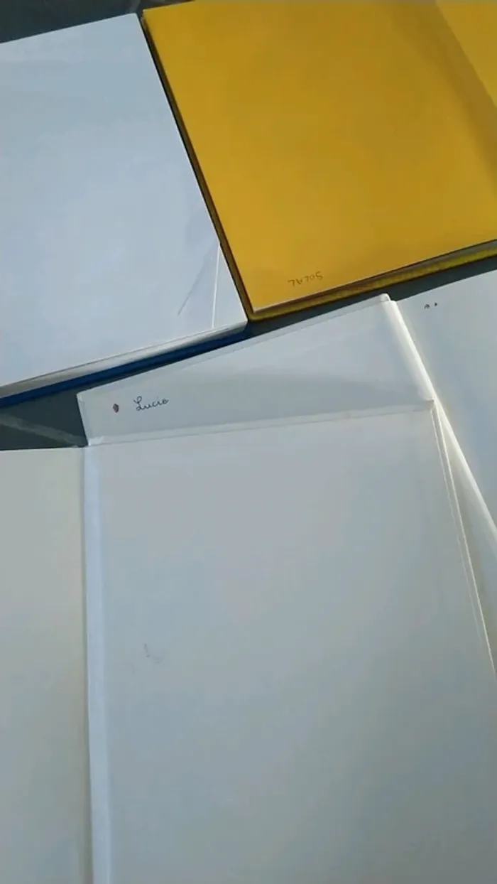 Lot de livres Disney - photo numéro 8