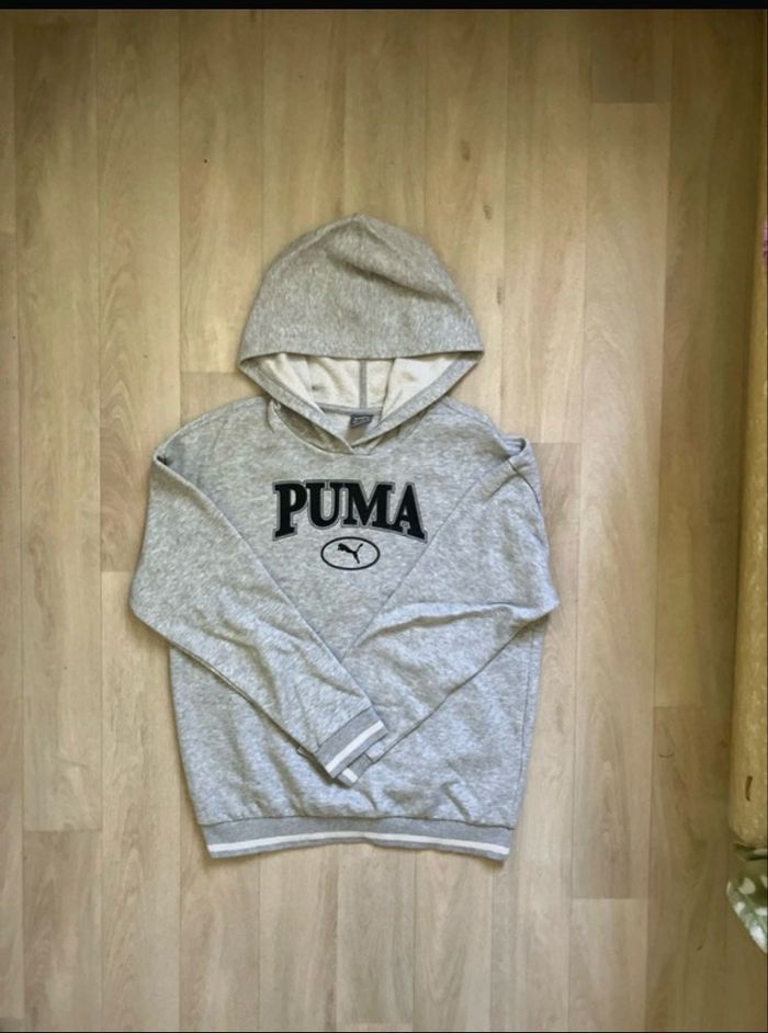 Pull a capuche puma - photo numéro 3