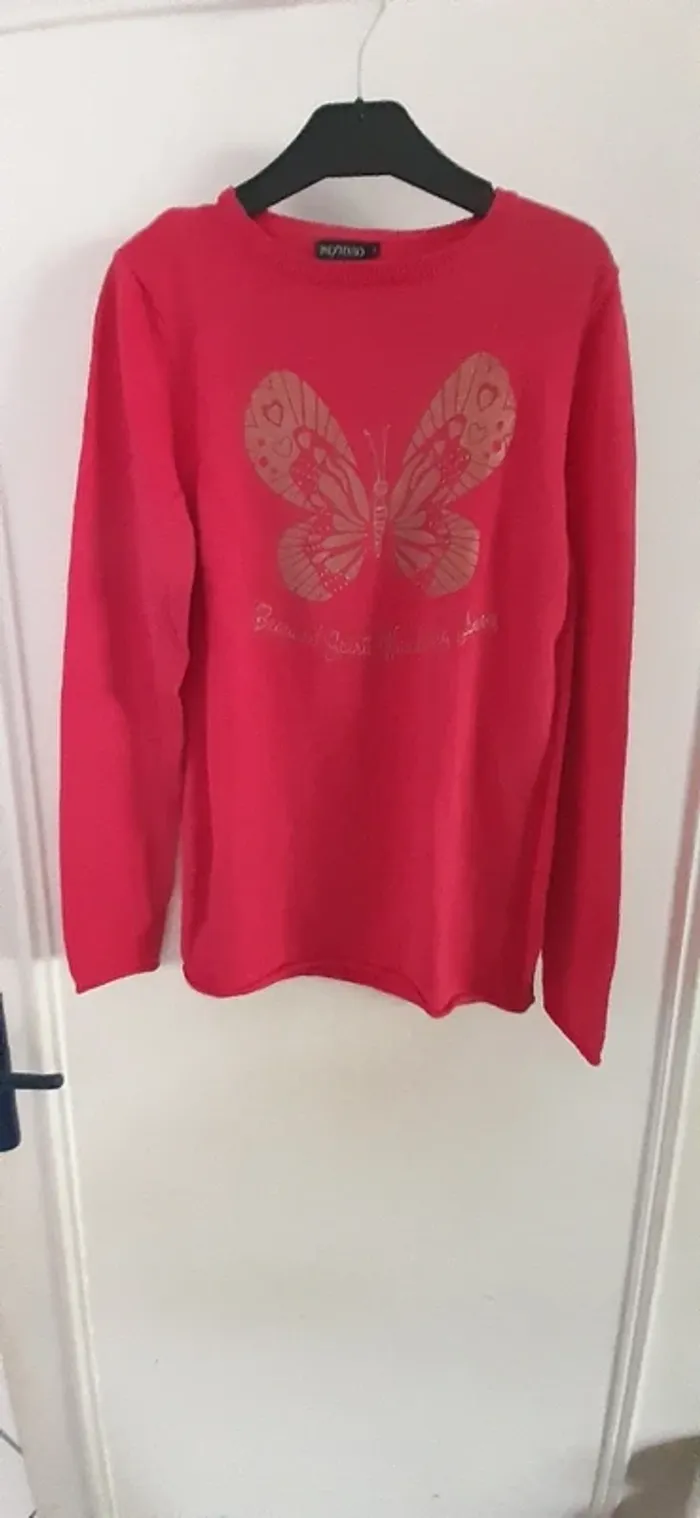 Robe ou pull long papillon manches longues 14 ans - photo numéro 6
