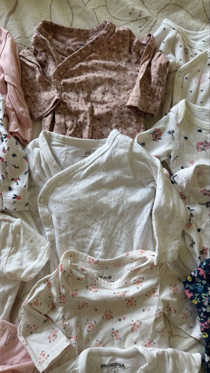 Lot de body pour fille 1 mois (bodies) - photo numéro 4