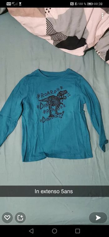 Pull sweet dinausaure