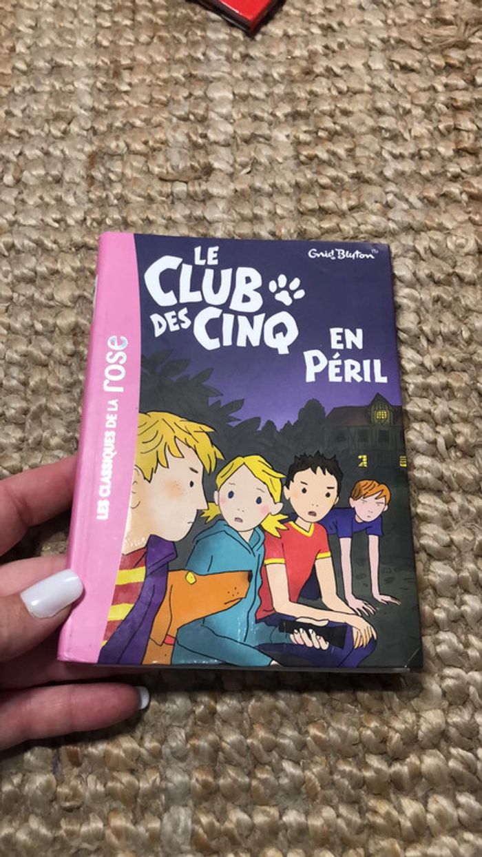 Livre « le club des cinq en péril »