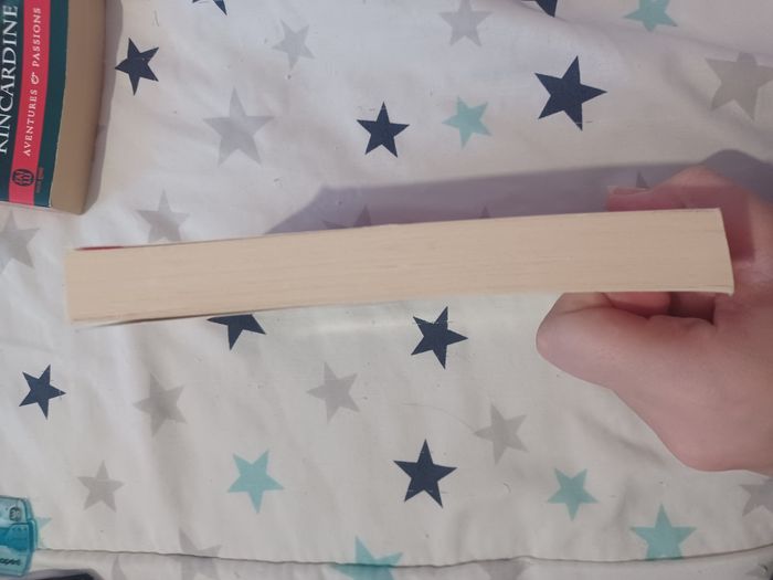 Livre "la destinée de kyla" - photo numéro 3