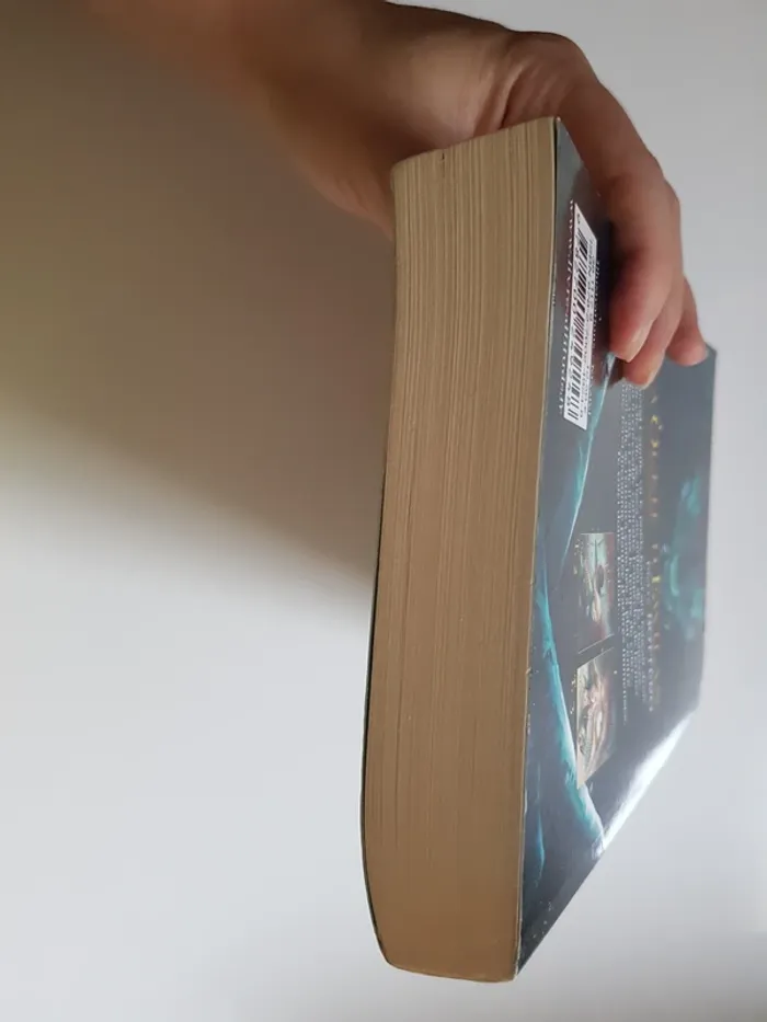 Pierre Bottero (Écrivain)  La Quête d'Ewilan, Tome 1 : D'un monde à l'autre - photo numéro 7