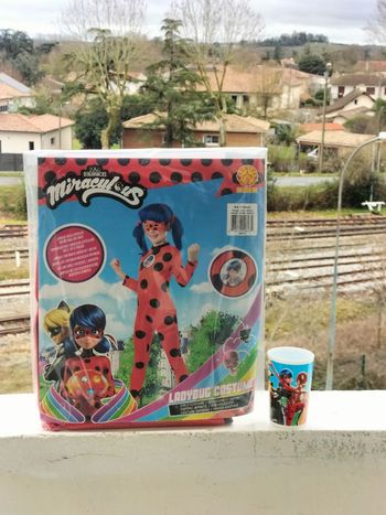 Déguisement ladybug 5/6 ans et gobelet 