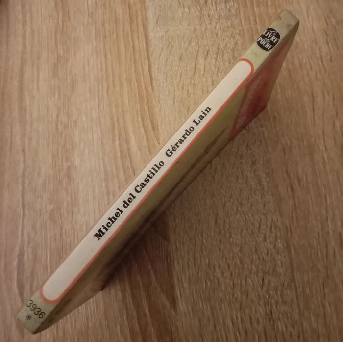 Michel Del Castillo 🪅 Gerardo Laïn - photo numéro 3