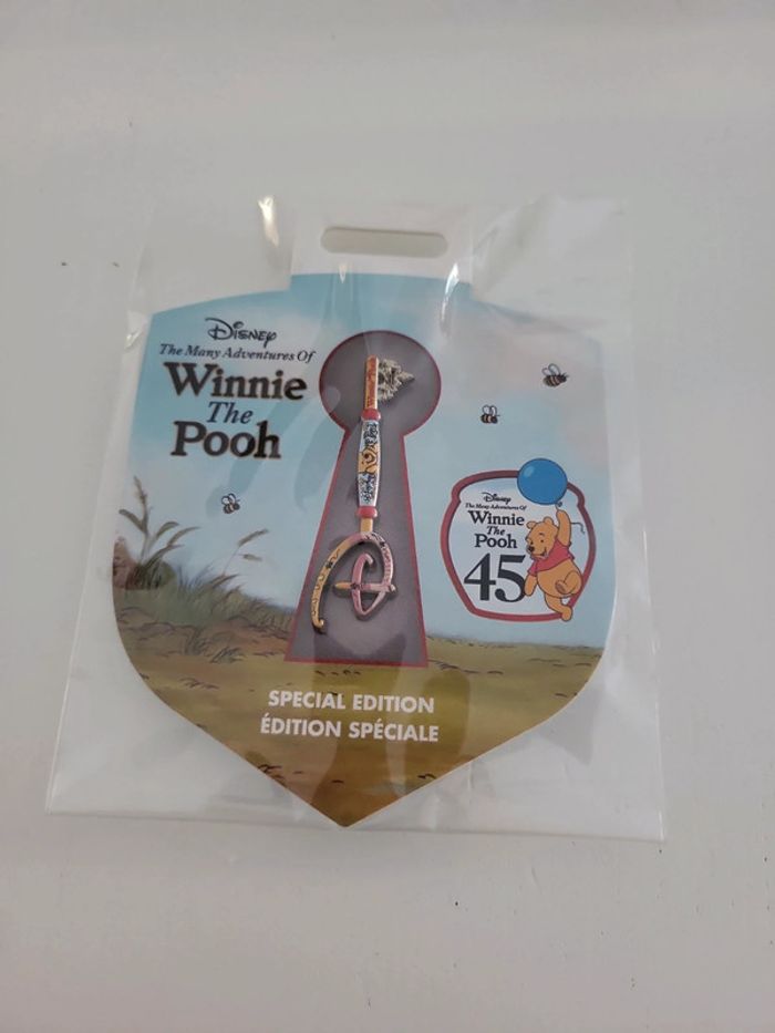 Pins clé Winnie l'ourson