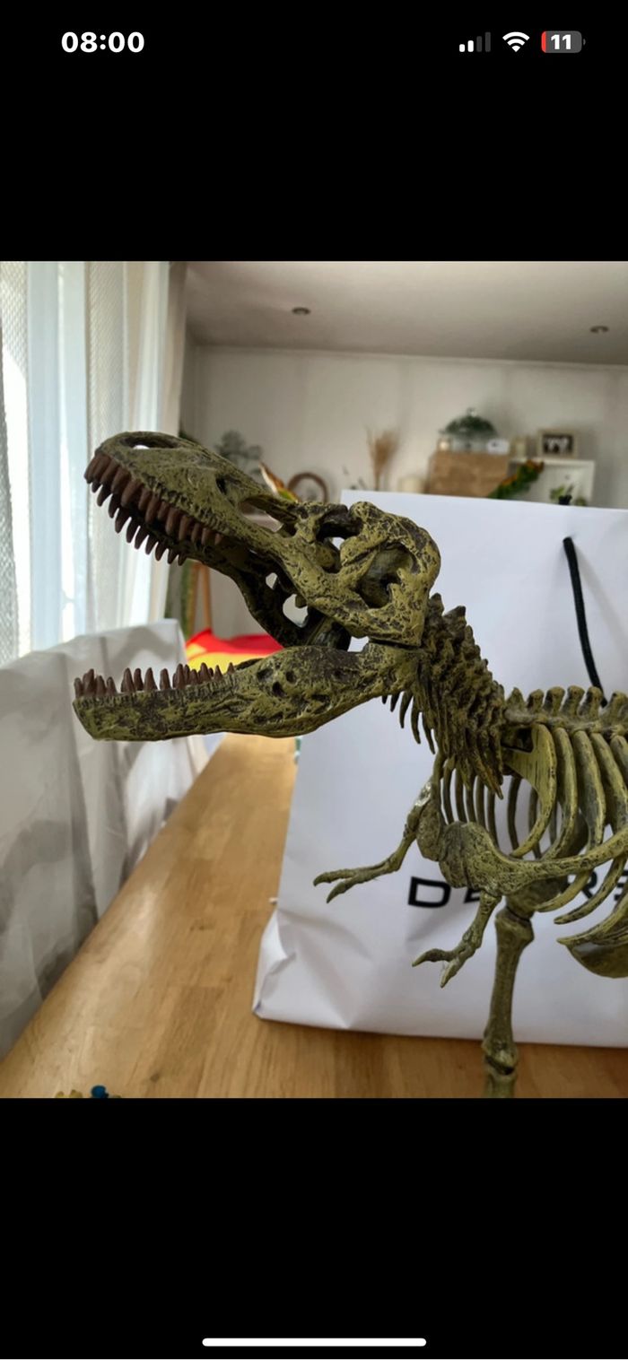 Squelette tyrannosaurus Rex - photo numéro 3