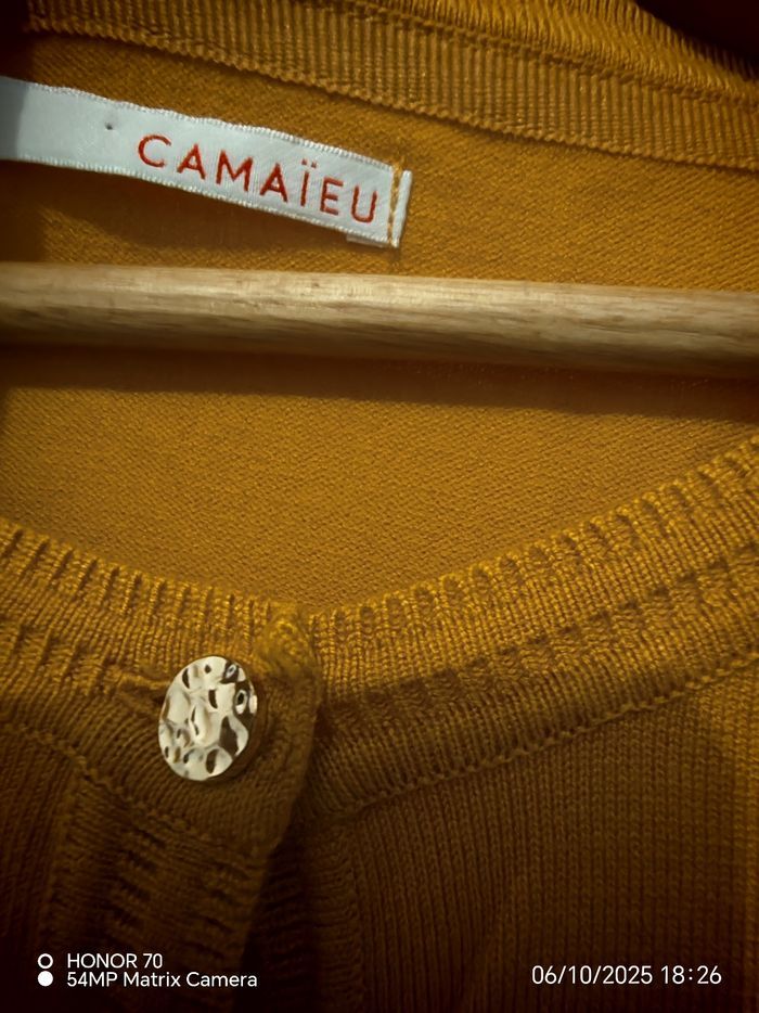 Gilet Intemporel - photo numéro 8