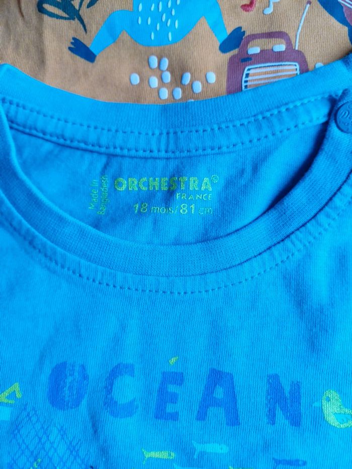 Tee-shirts MC 18 mois - photo numéro 4