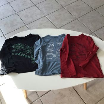 Pull fin dinosaure taille  4 ans