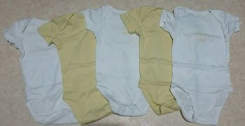 Lot bodys manches courtes