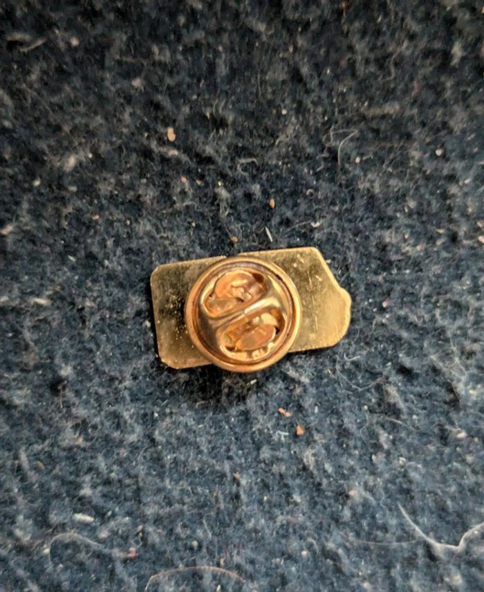 Pins routier TPS Guesnet - photo numéro 3