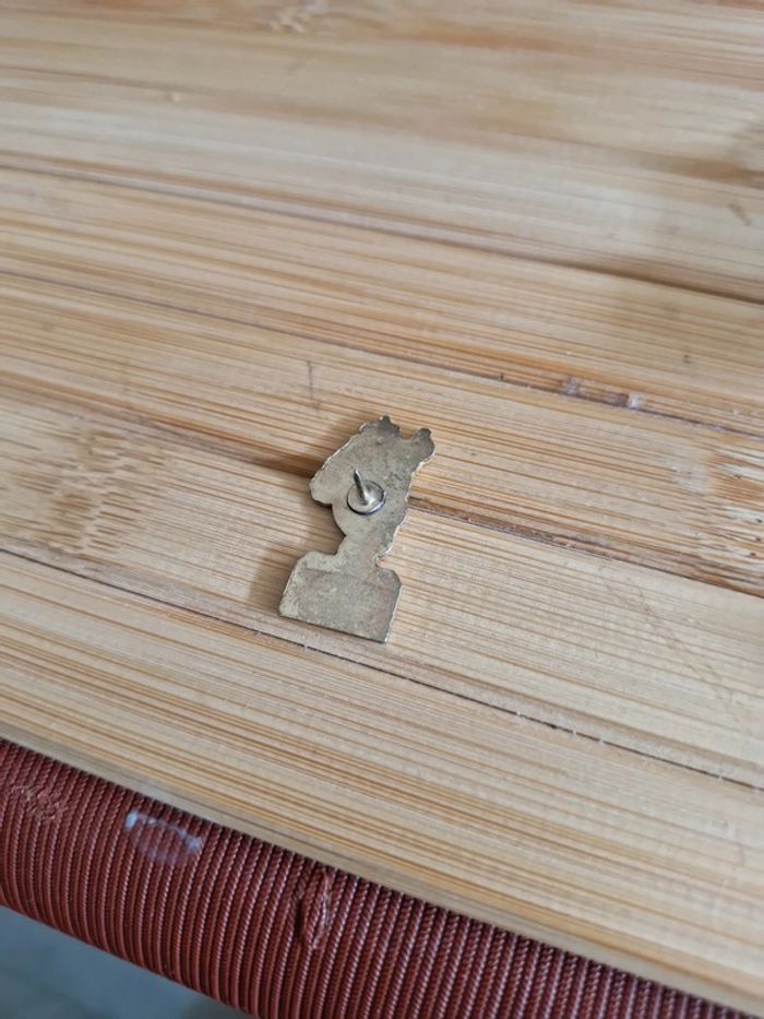 Pins "Quick" - photo numéro 4