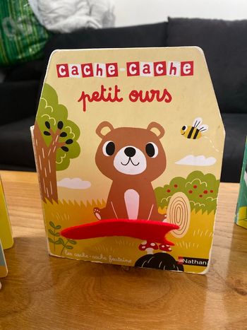 Lot de 5 livres cache cache