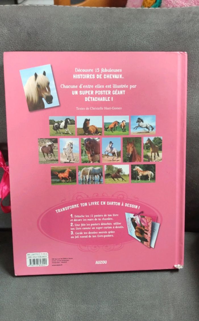 Livre posters mes plus belles histoires de chevaux - photo numéro 2
