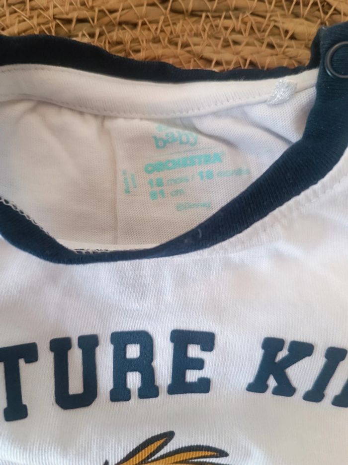 🐼 Lot Tee-shirts taille 18mois - photo numéro 2