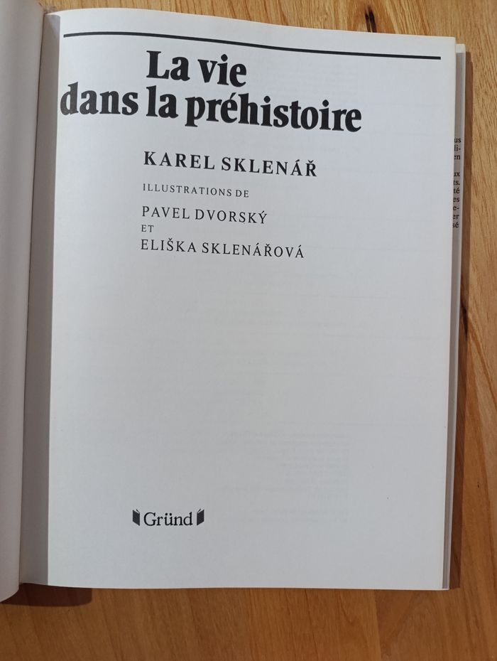 La vie dans la préhistoire - photo numéro 5