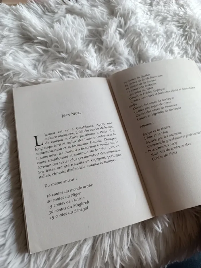 Livre L'épopée de Gilgamesh en 8 récits _ dès 11 ans _ Flammarion Jeunesse _ Jean Muzi - photo numéro 10