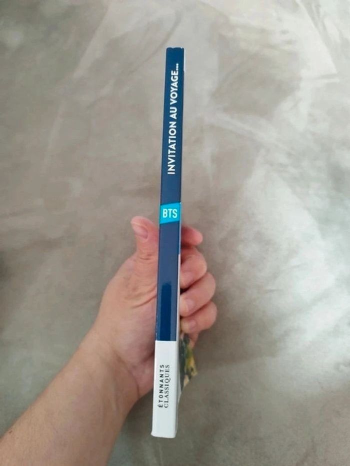 Lot de livre Initiation au voyage - photo numéro 10