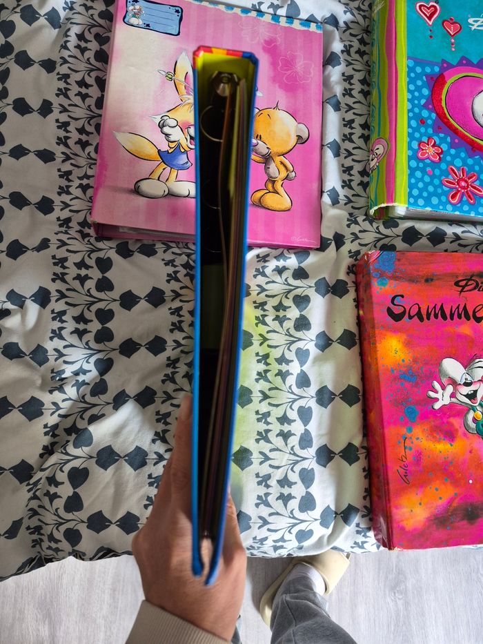 Classeur diddl - photo numéro 5