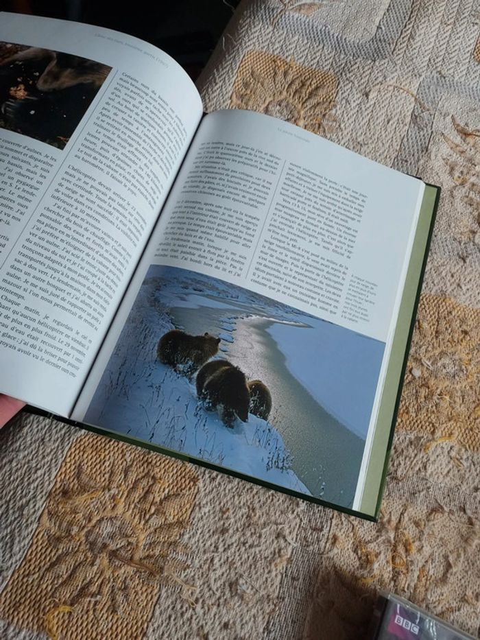 Magnifique lot de 2 livres avec les 2 dvd neuf - photo numéro 10