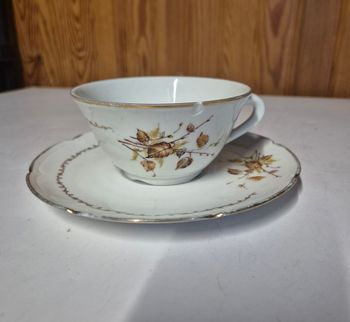 Lot tasses et sous tasse porcelaine vierzon royal email pâtes fine C.G