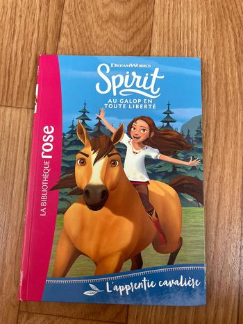 Livre Spirit