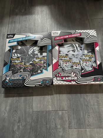x2 classeur pokémon 