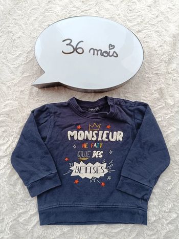 Sweat pull Garçon 36 mois Monsieur ne fait que des bêtises Influx
