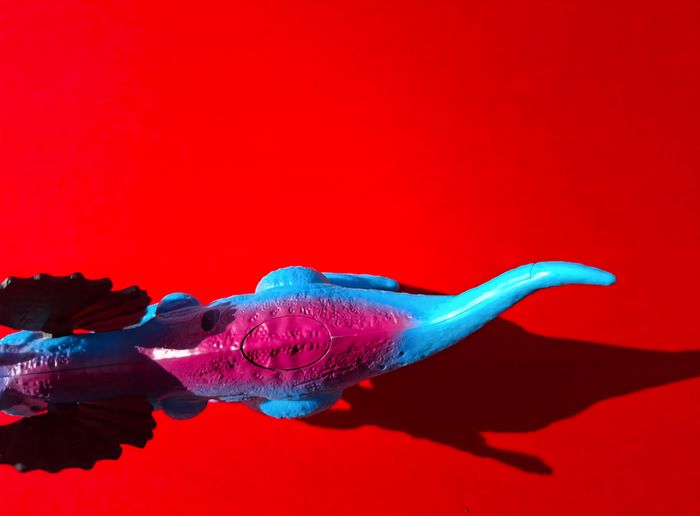 Dinosaure avec bruitage - photo numéro 5