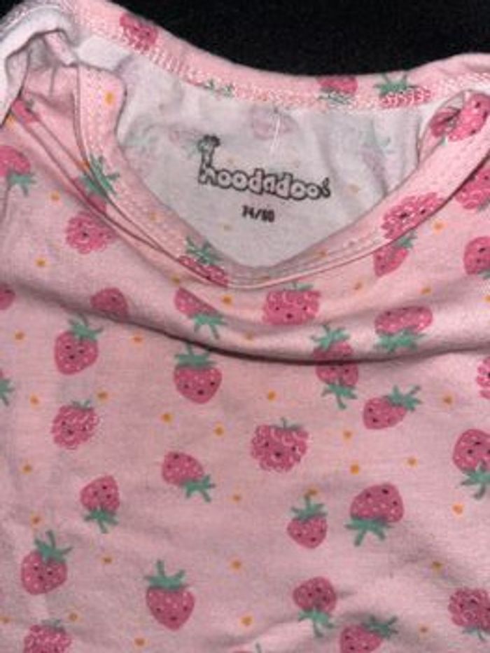 Bodie 12 mois - photo numéro 4