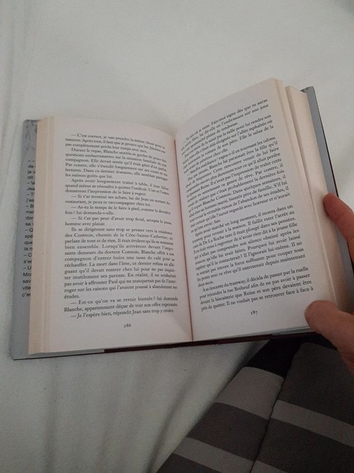 Michel David - Mensonges sur le plateau Mont Royal - photo numéro 3