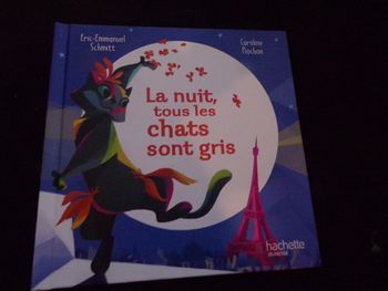 Livre macdo La nuit tous les chats sont gris Eric-Emmanuel Schitt