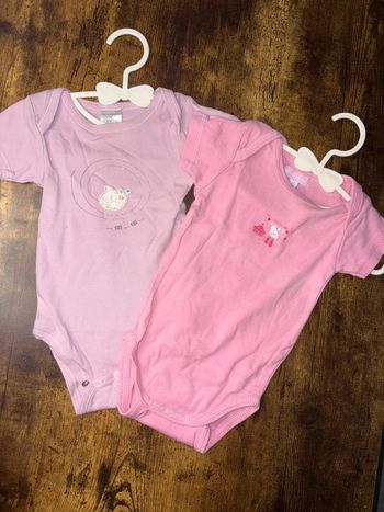 2 body 12m