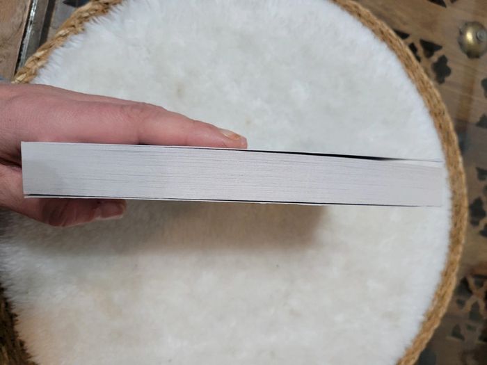 Le Pardon. Danielle Steel - photo numéro 6