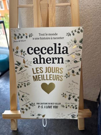 Livre les jours meilleurs