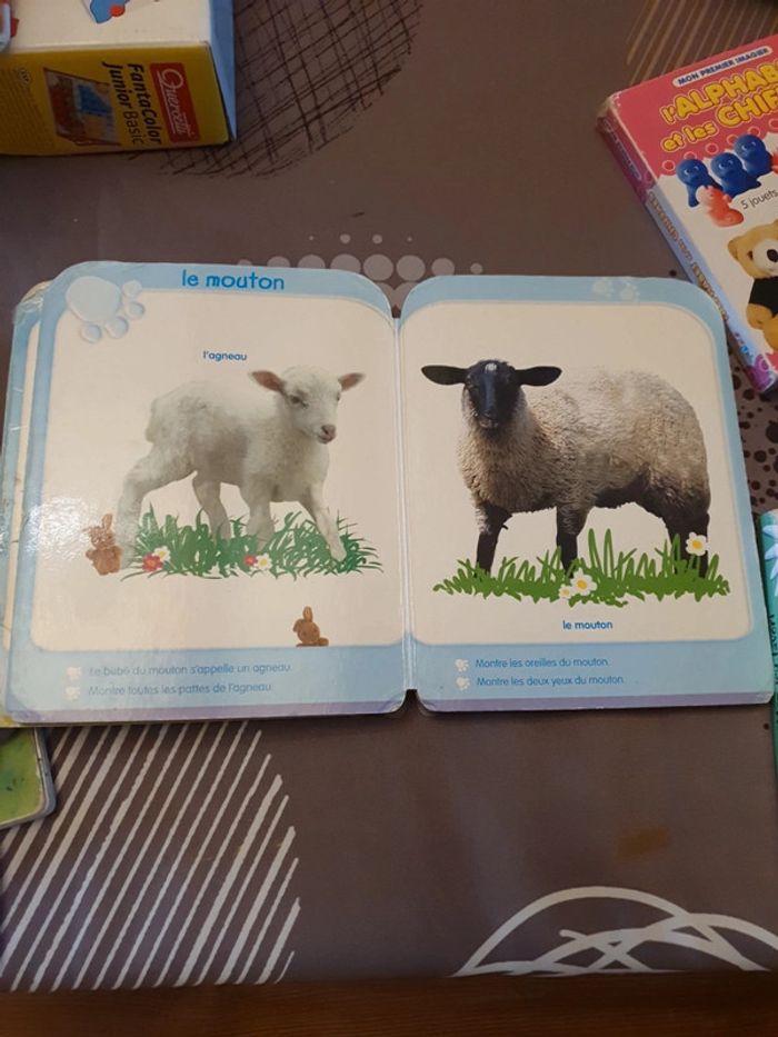 4 livres bébé - photo numéro 4