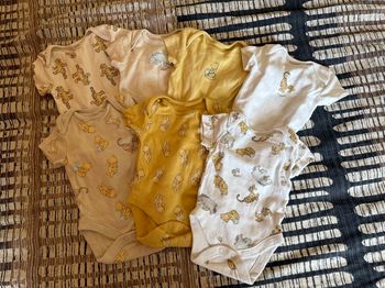 Lot de 7 bodies