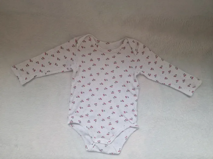 Lot 6 bodies