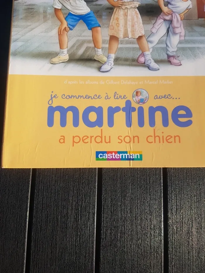 Martine a perdu son chien - photo numéro 3