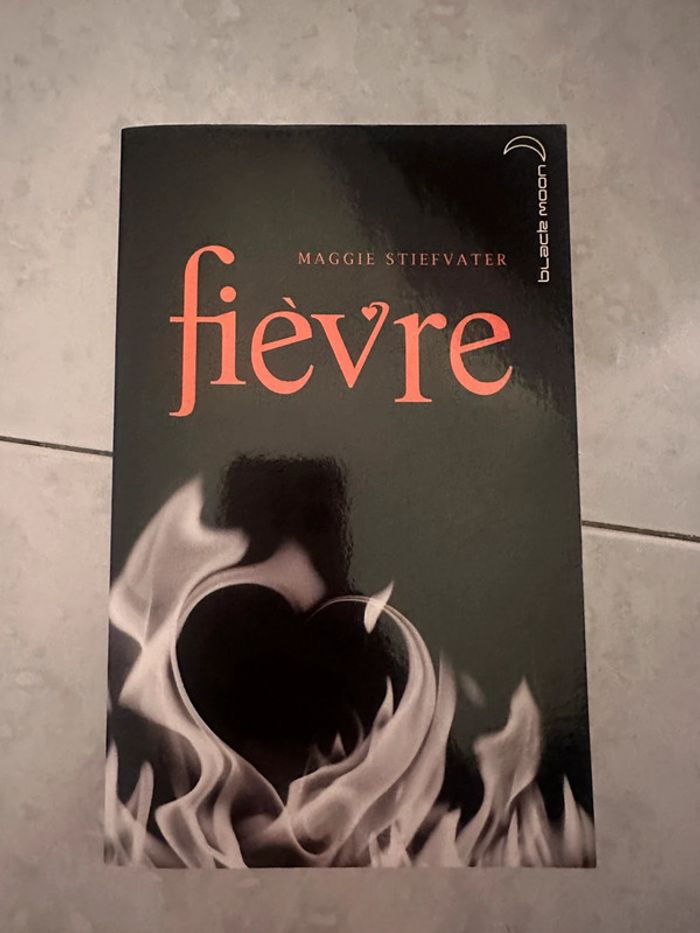 Roman fièvre maggiestiefvater