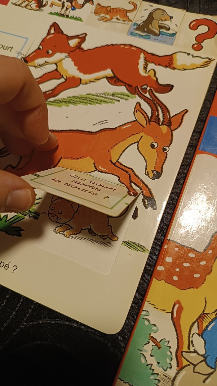 Livres Cache-cache Animaux et chiffres - photo numéro 5