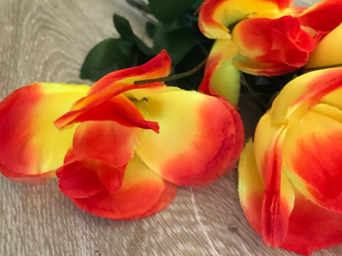 Fleurs - photo numéro 6