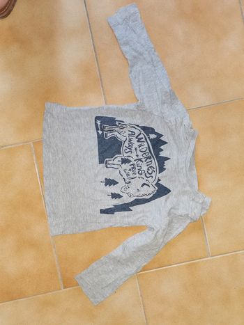 Tee shirt ml forêt 2 ans