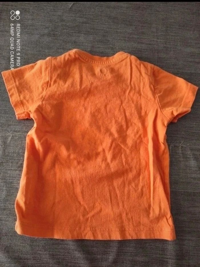 Tee-shirt manches courtes Z Grain de ble 9 mois 71 cm - photo numéro 4