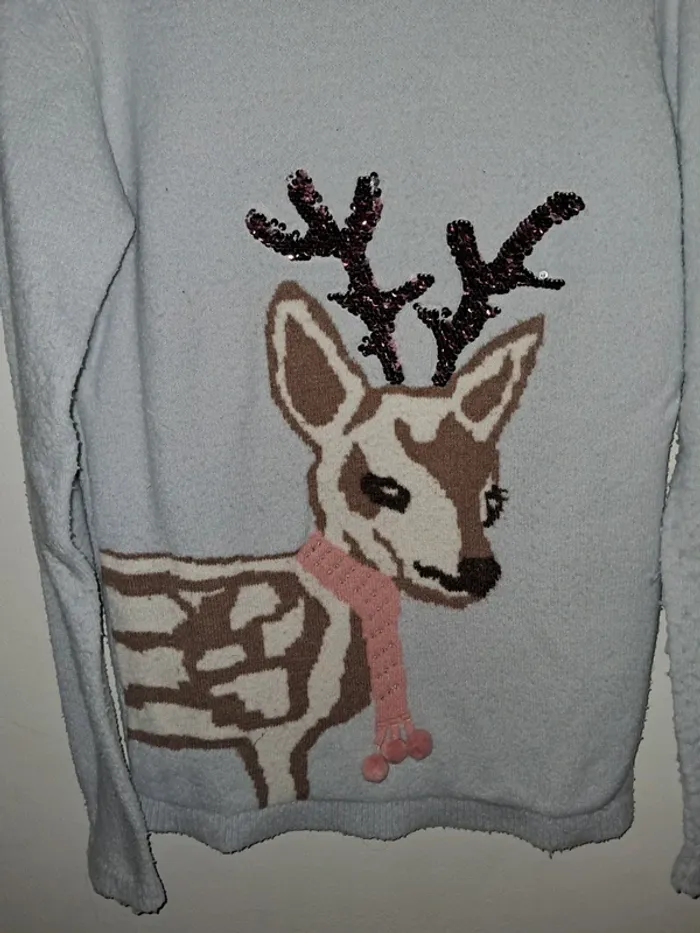 Pull moche - photo numéro 3