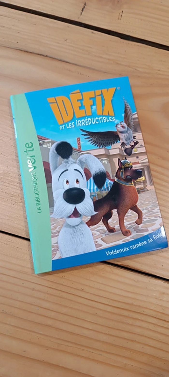 Livre enfant Idéfix et les irréductibles